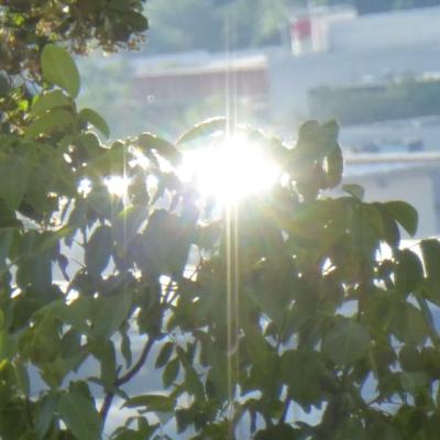 15.6.24 Jpg 2