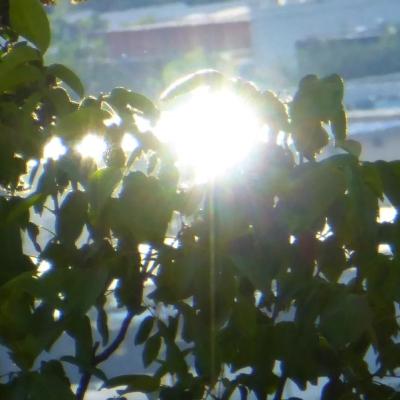 15.6.24 Jpg 3