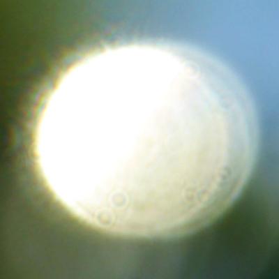 15.6.24 Jpg 4
