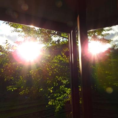 16.7.25 Sonne 