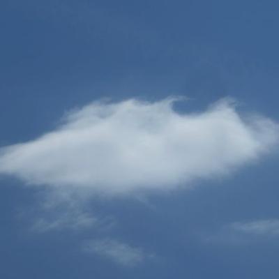 28.6.24 Jpg 3